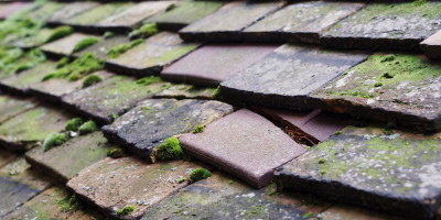 Great Kingshill roof repair costs